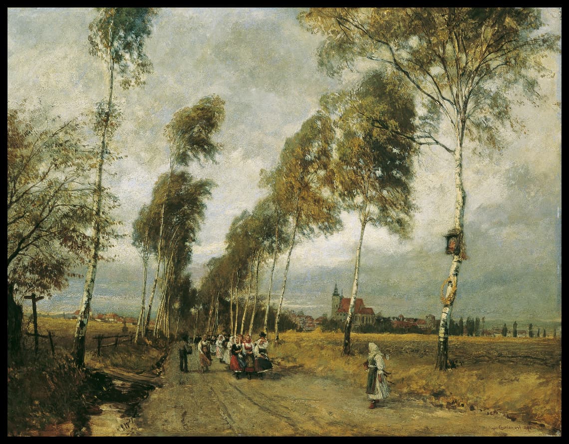 Landstraße mit Birkenallee