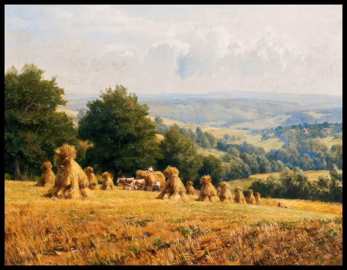 Erntezeit im Wienerwald