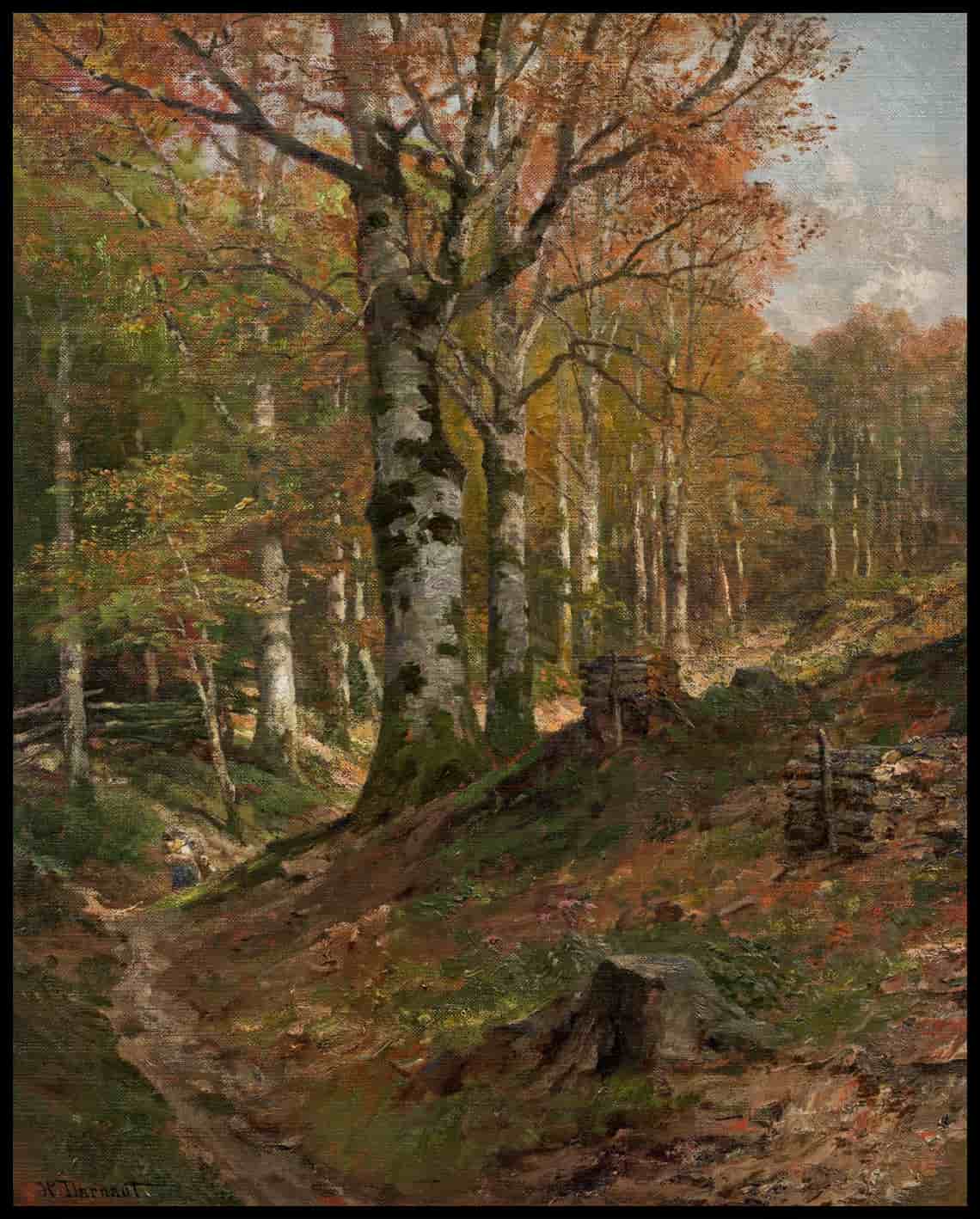 Herbstlicher Wienerwald