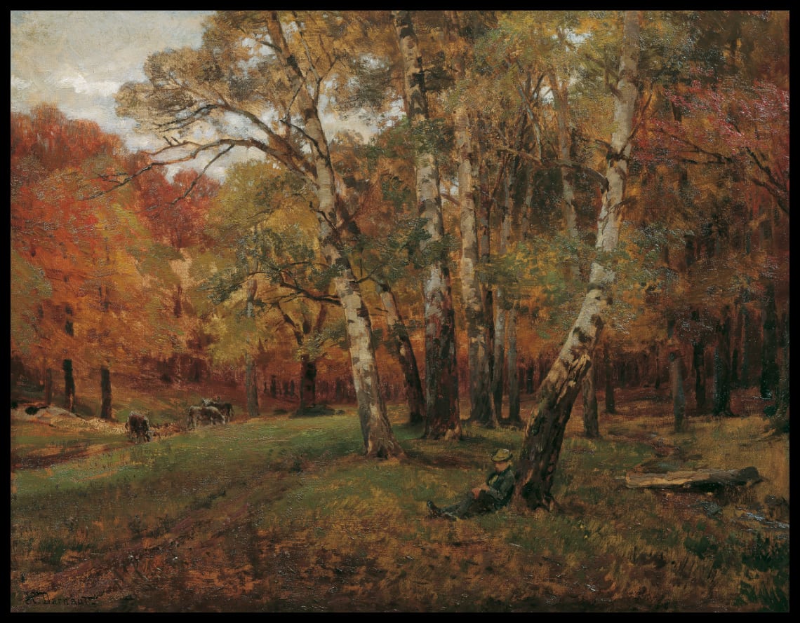 Landschaft mit Birken