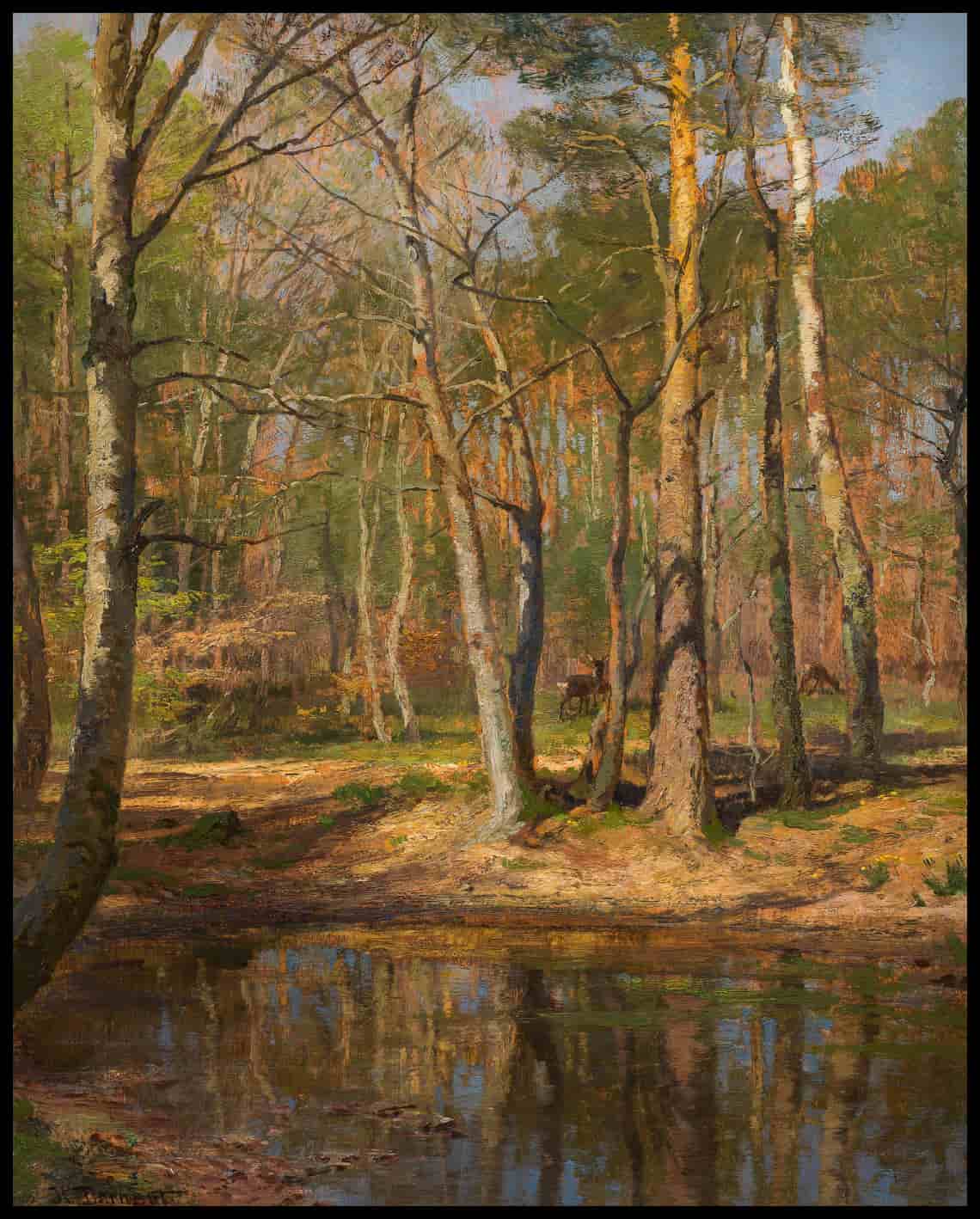Partie aus dem Wienerwald