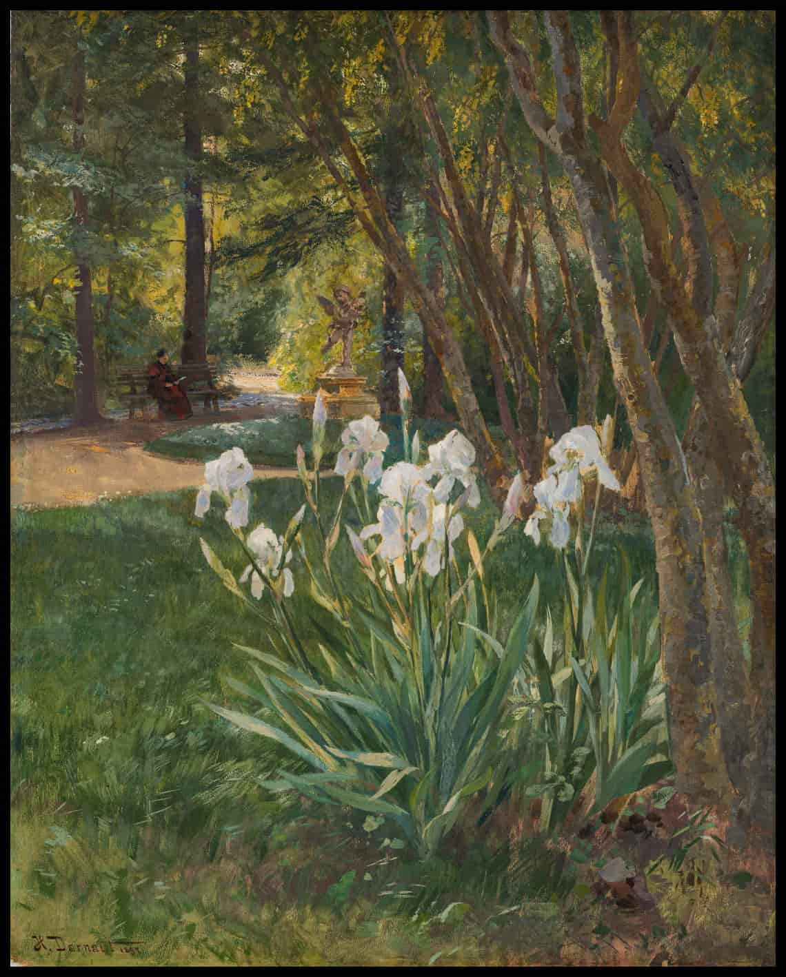 Schwertlilien im Park
