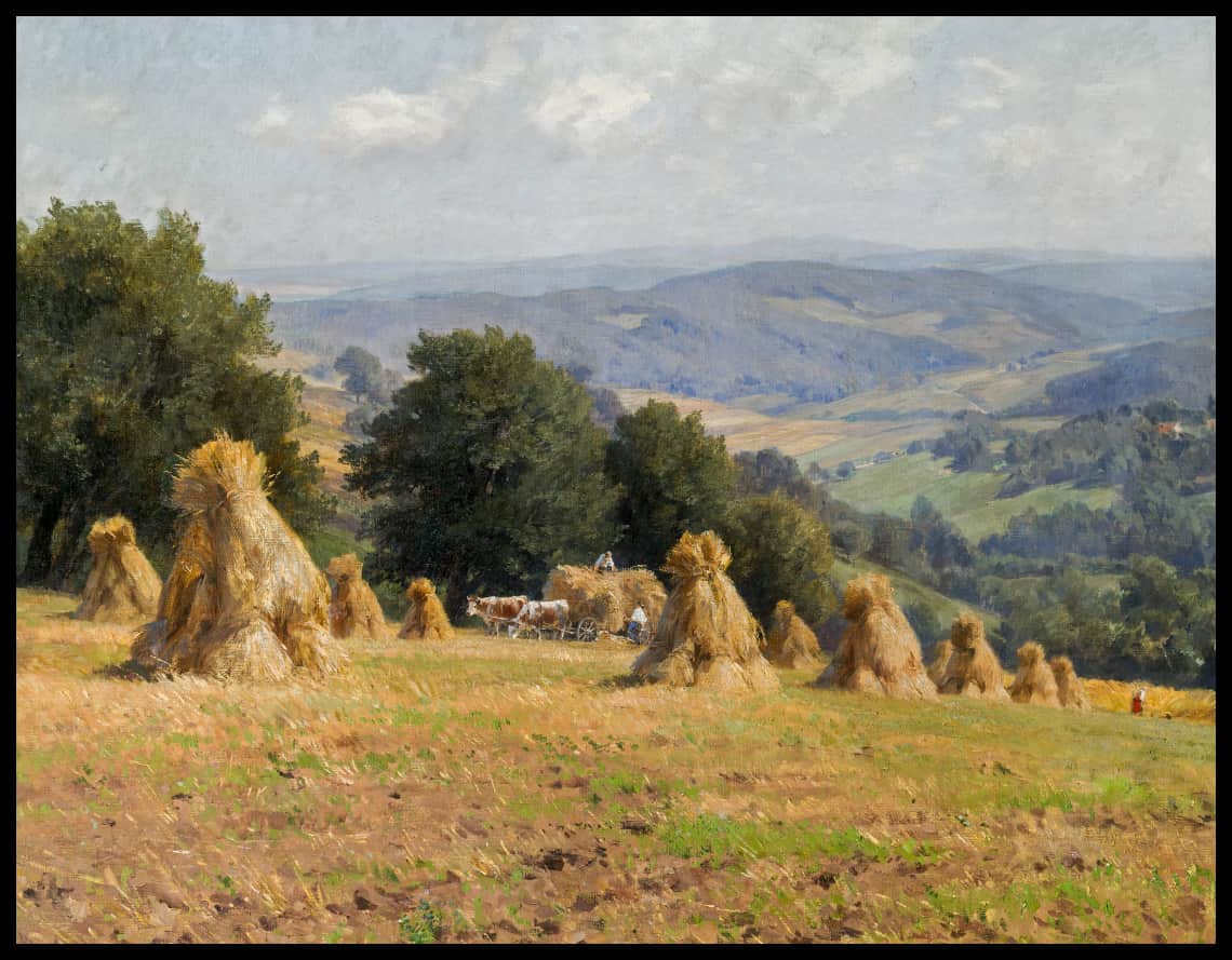 Sommer im Wienerwaldgebiet