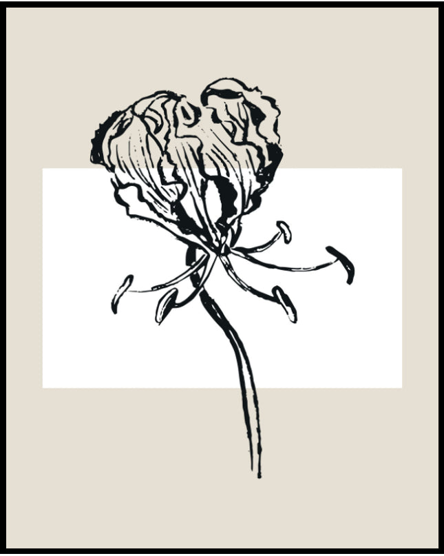 Ein Poster einer Illustration einer botanischen Pflanze mit schwarzen Linien auf einem beigen Hintergrund.