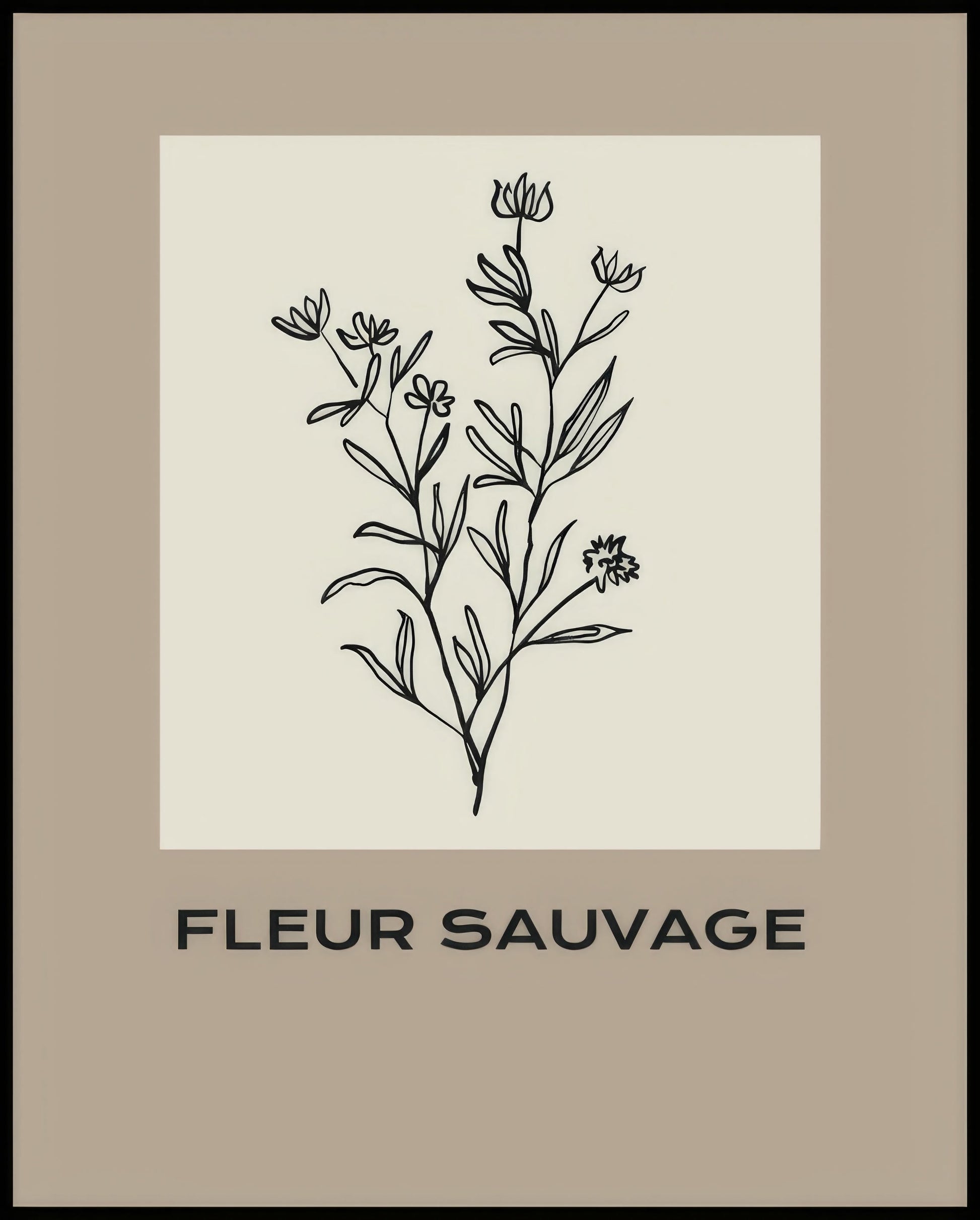 Ein Poster einer Illustration einer botanischen Pflanze mit schwarzen Linien auf einem beigen Hintergrund.