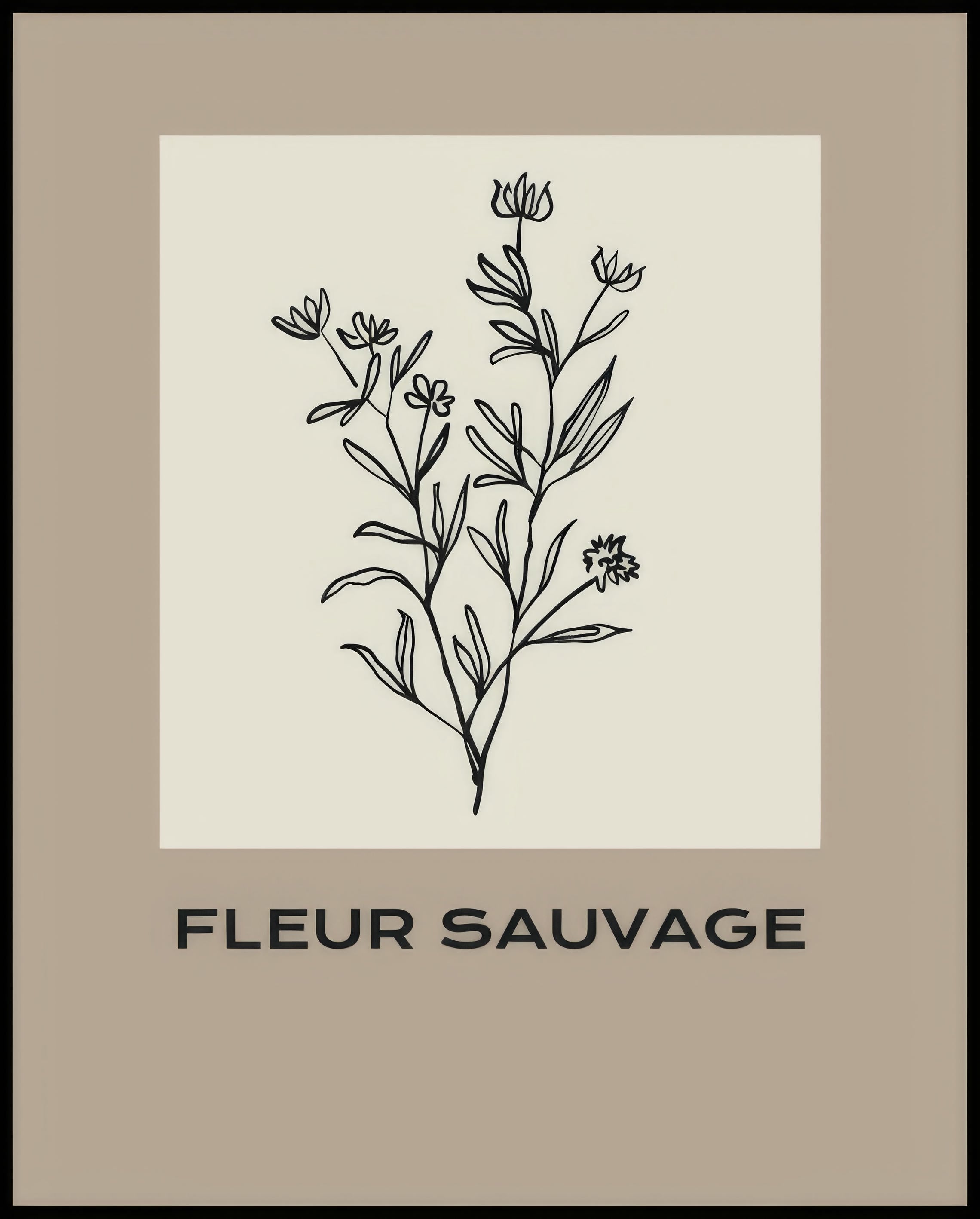 Ein Poster einer Illustration einer botanischen Pflanze mit schwarzen Linien auf einem beigen Hintergrund.