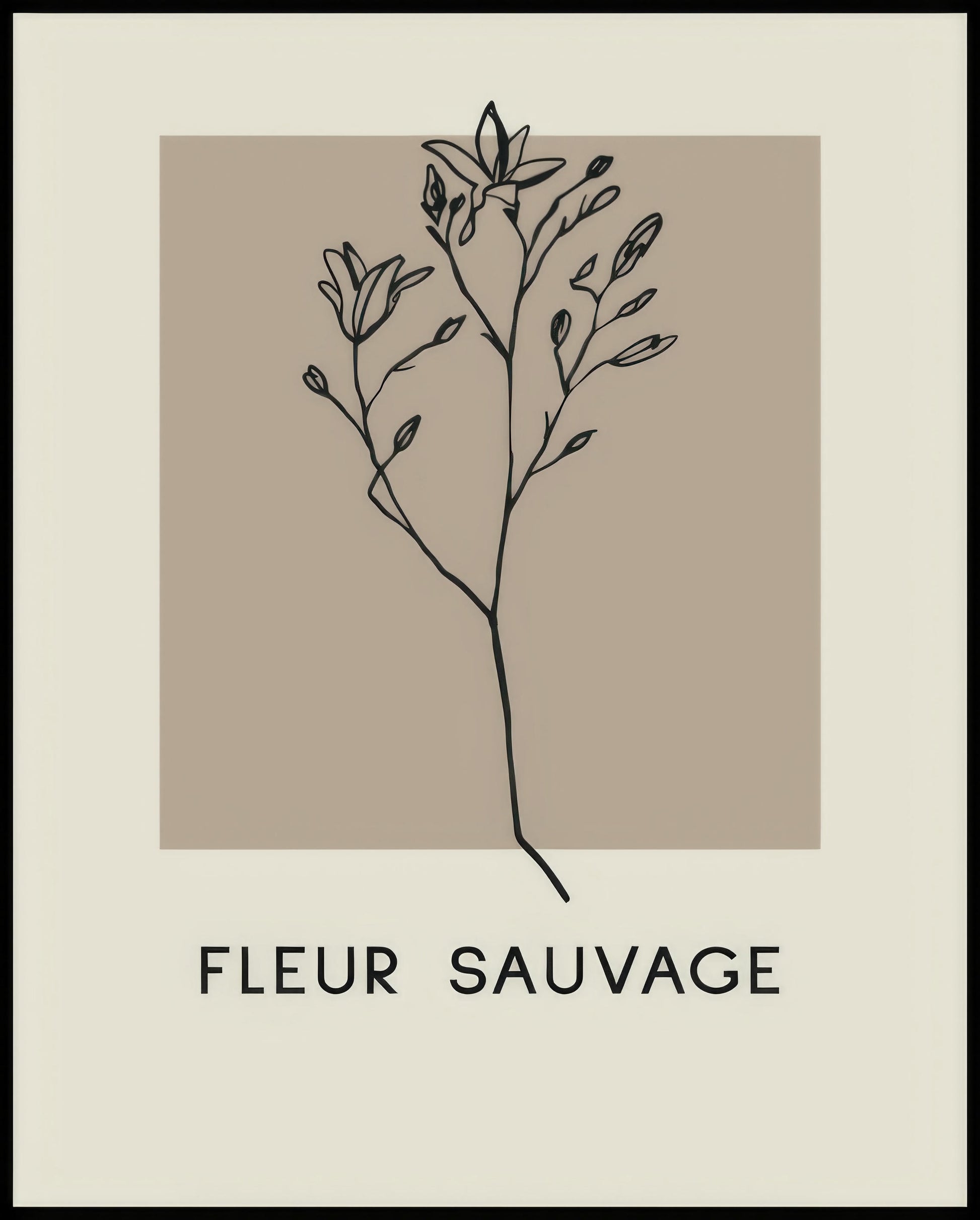 Ein Poster einer Illustration einer botanischen Pflanze mit schwarzen Linien auf einem beigen Hintergrund.