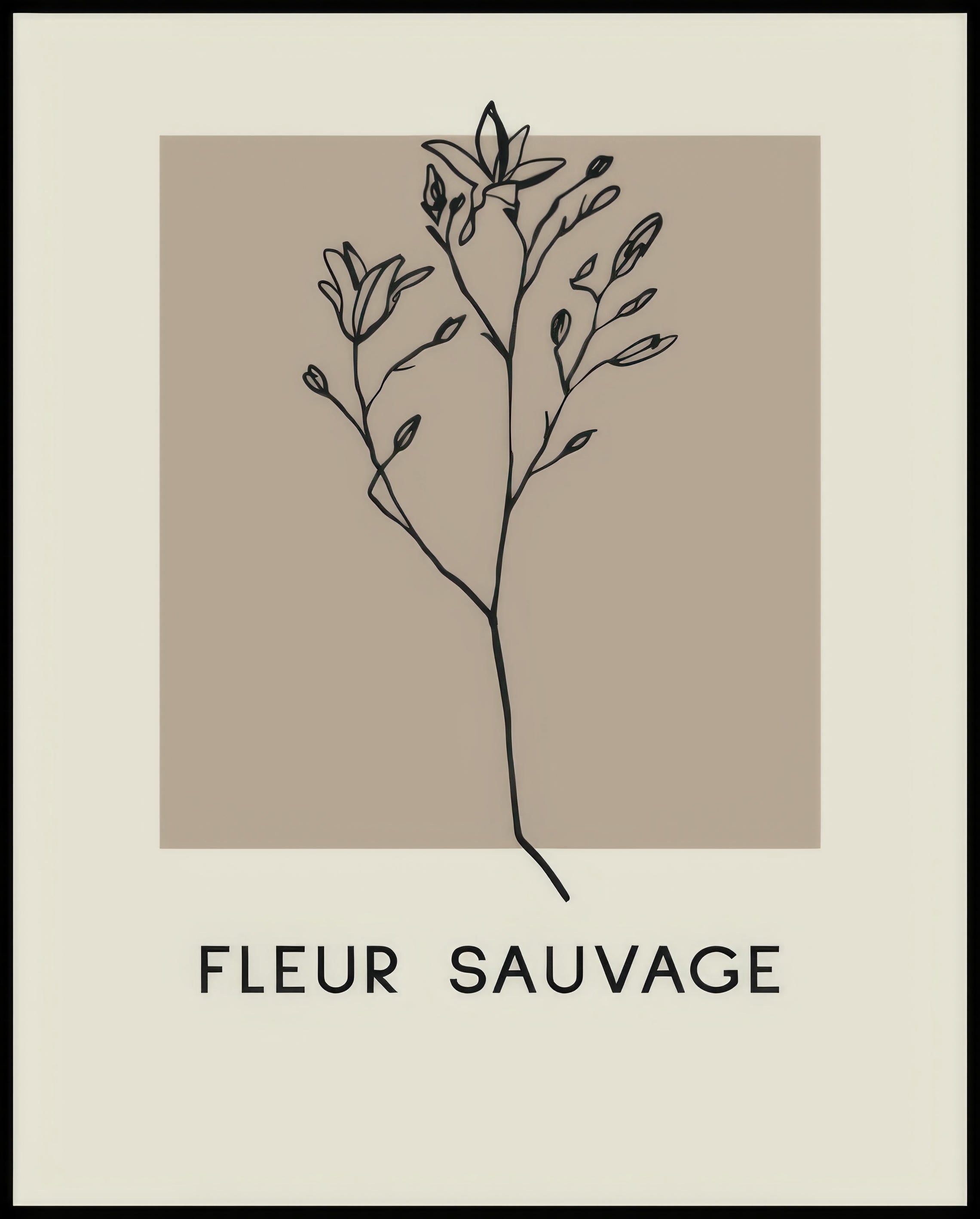 Ein Poster einer Illustration einer botanischen Pflanze mit schwarzen Linien auf einem beigen Hintergrund.