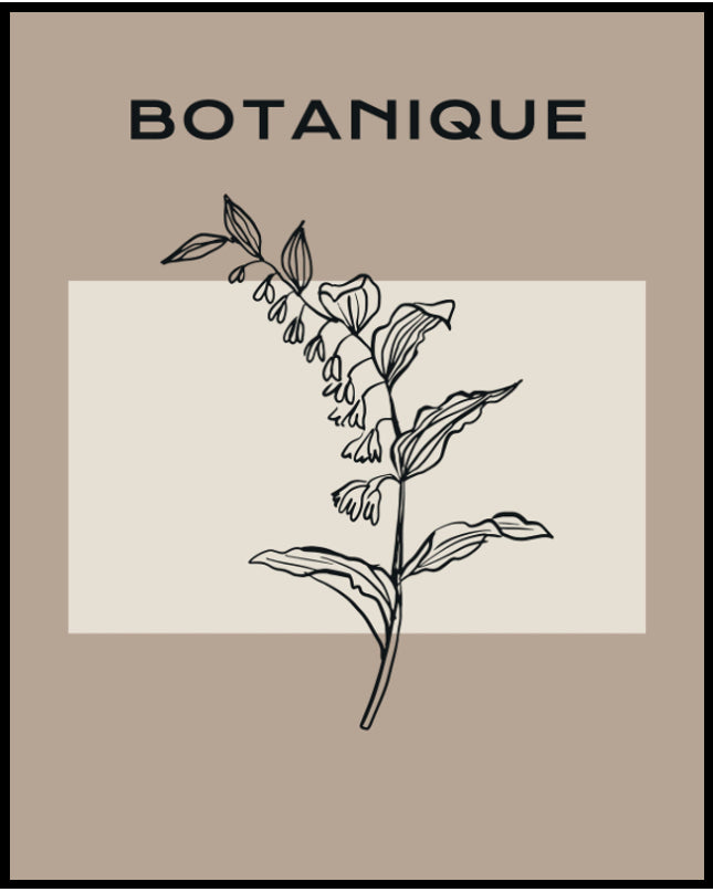 Ein Poster von einer botanische Illustration einer Pflanze mit dem Titel "Botanique" auf beigem Hintergrund.