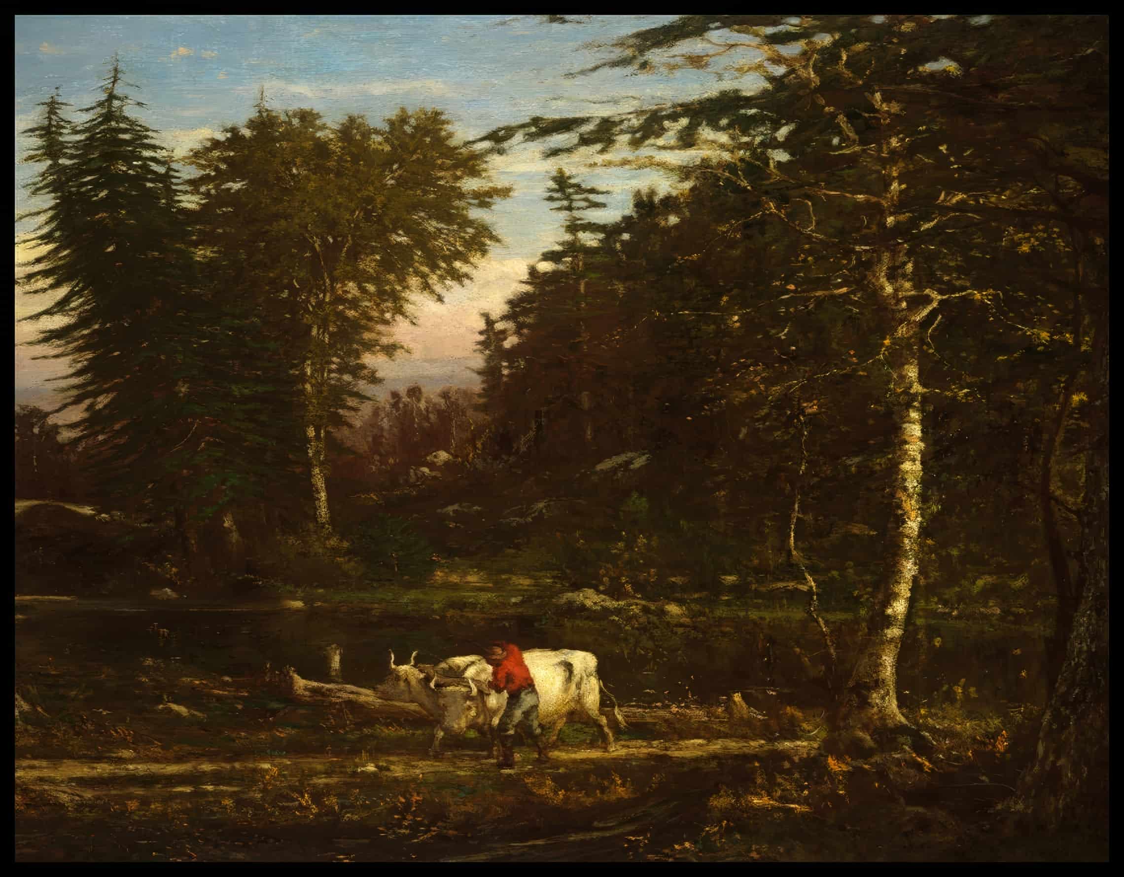 Dans les Adirondacks