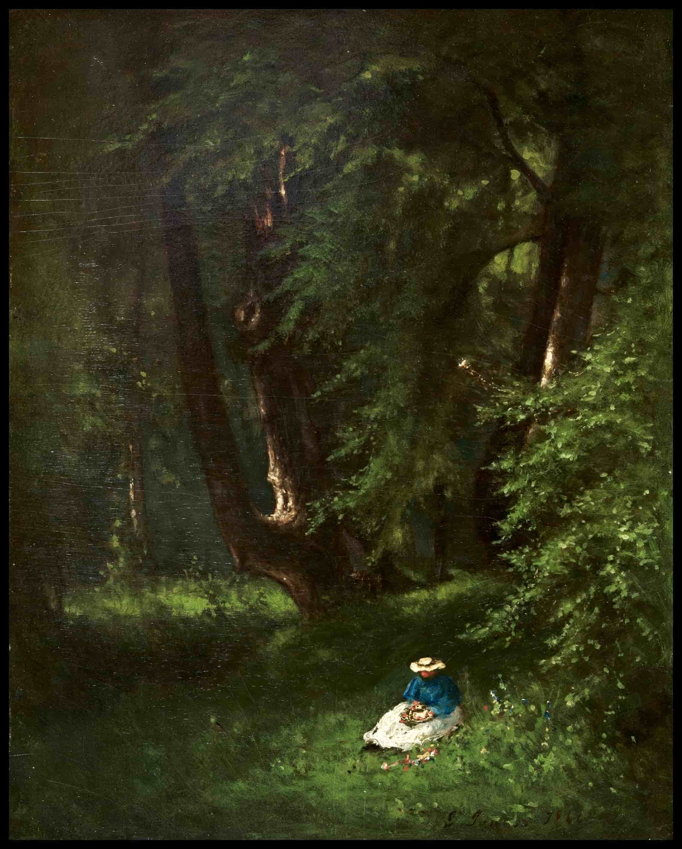 Dans les bois