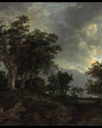 A wooded landscape with a pond