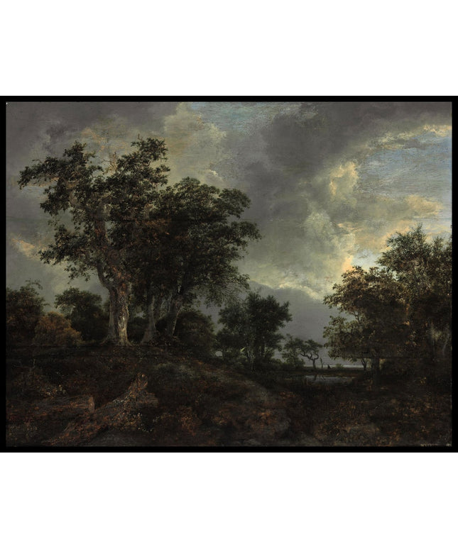 A wooded landscape with a pond
