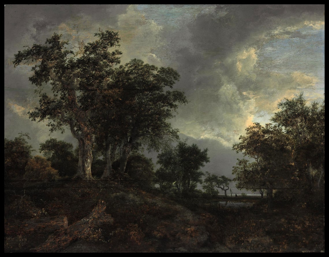A wooded landscape with a pond
