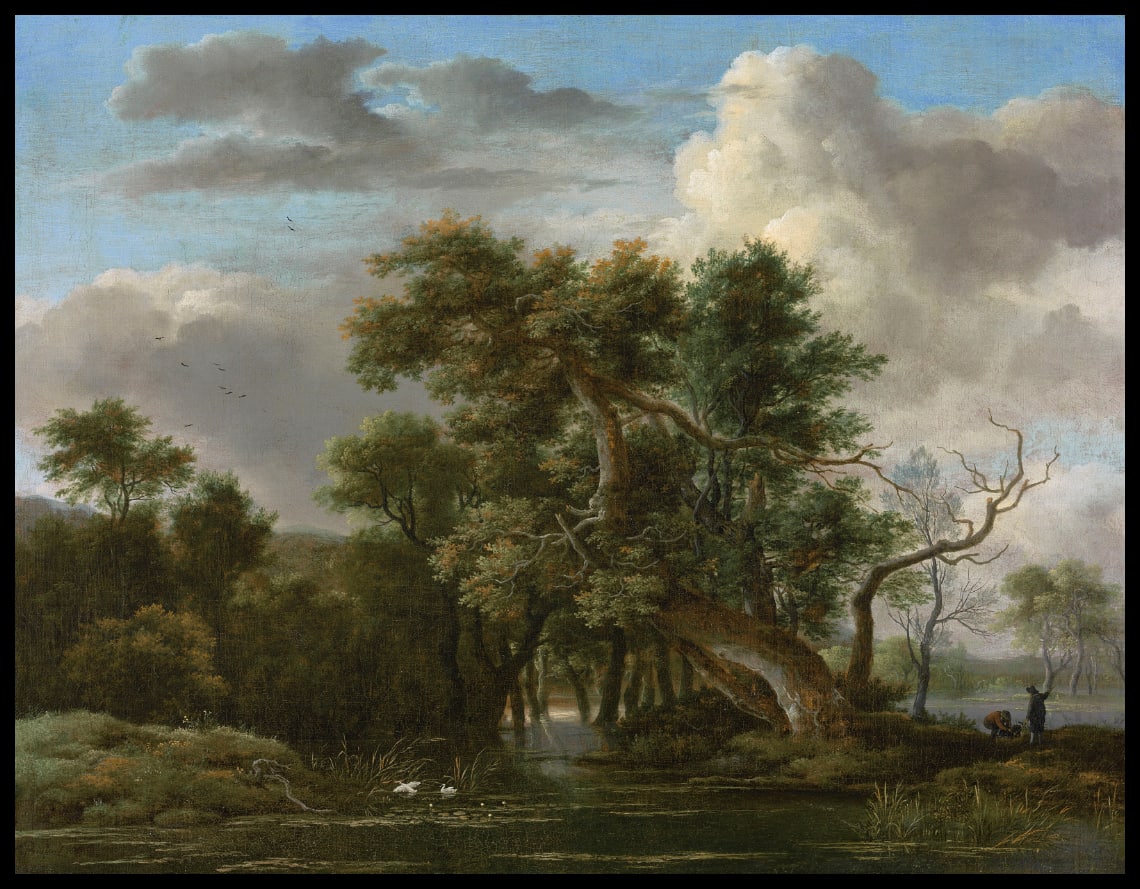 A woodland pool
