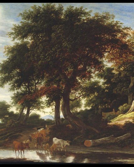 Cattle fording a stream in a wooded landscape