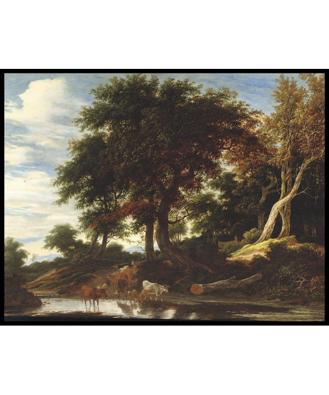 Cattle fording a stream in a wooded landscape