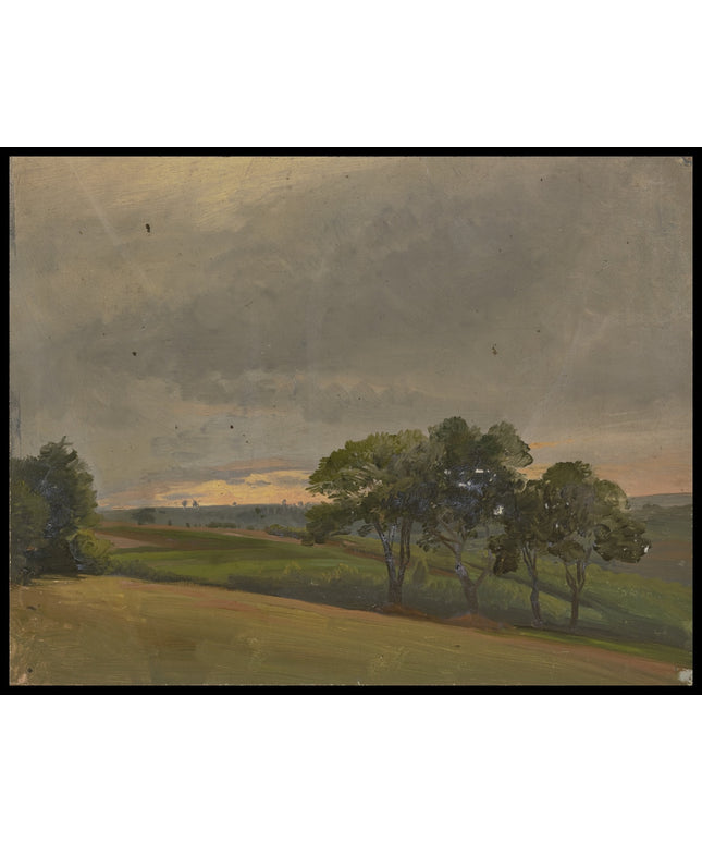 Abendliche Wiese mit Bäumen