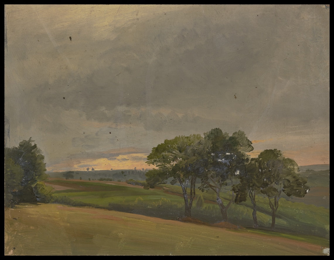 Abendliche Wiese mit Bäumen