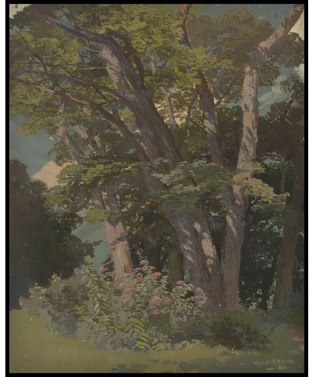 Parkstudie, Waldwiese