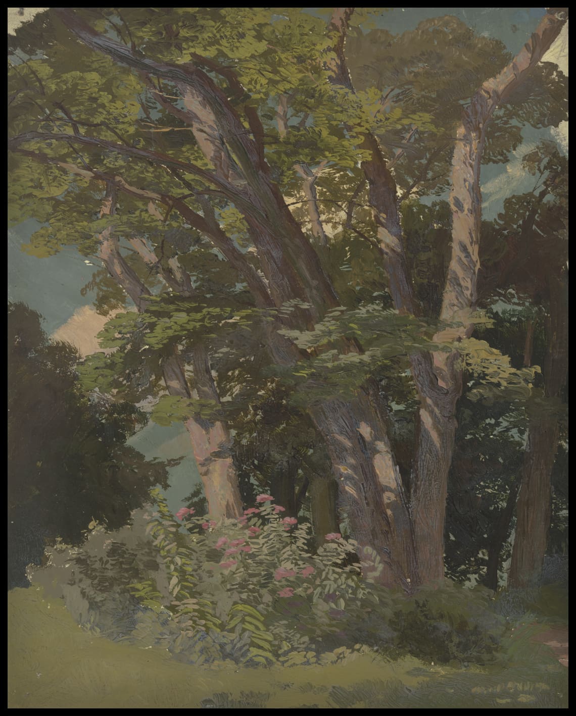 Parkstudie, Waldwiese
