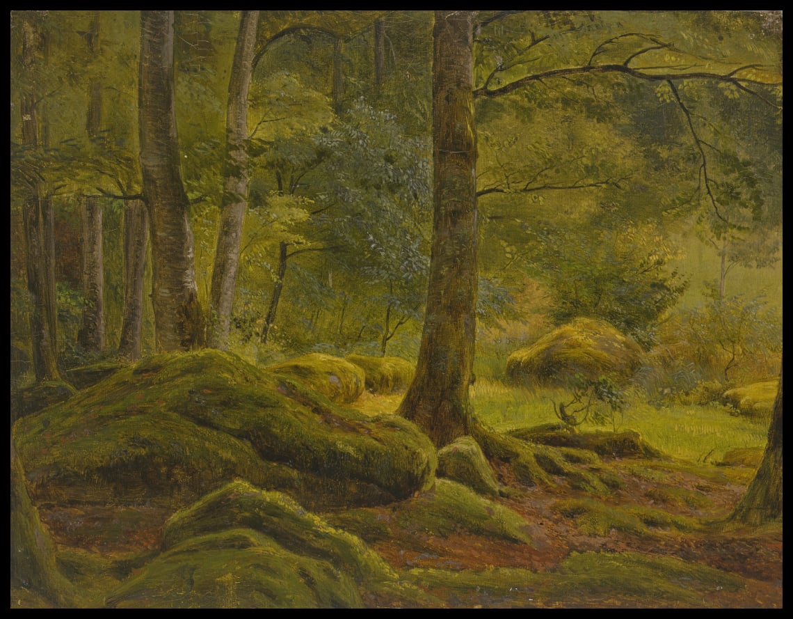 Waldstück