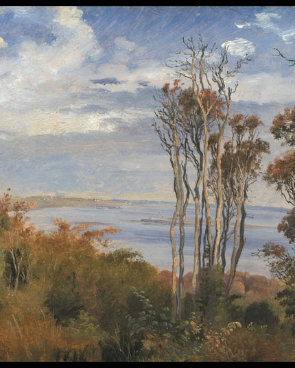 Kolås Wood, Vejrhøj