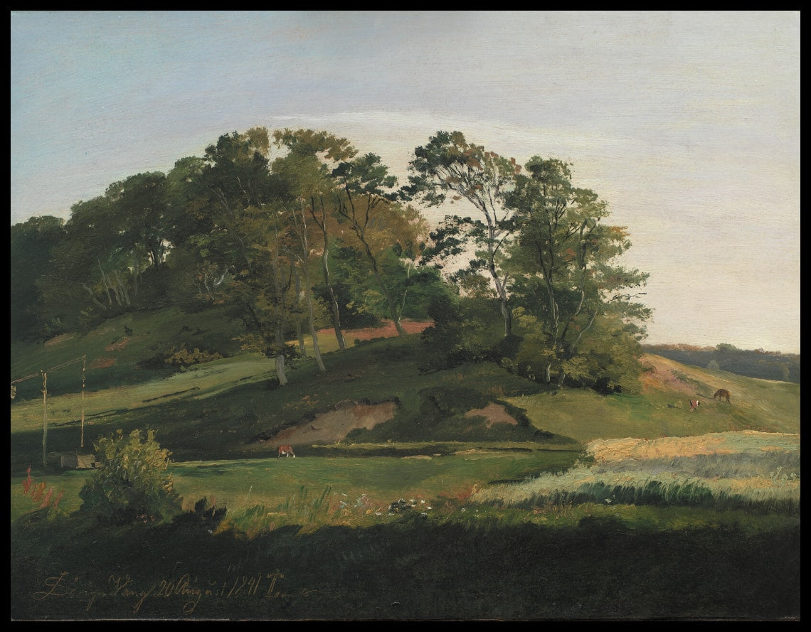 Les collines boisées de Sørupvang
