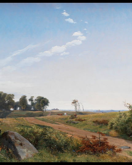 Zealand Landscape. Open Country in North Zealand