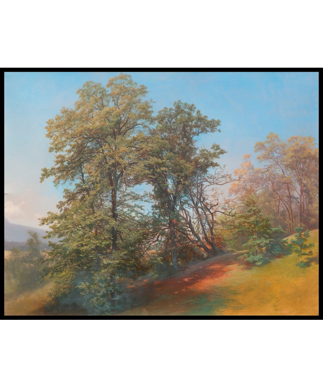 Baumgruppe am Mönchsberg in Salzburg