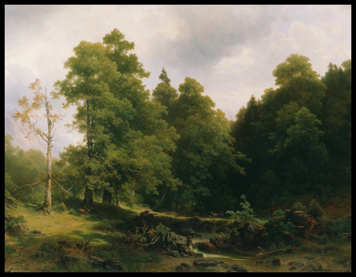 Der stille Waldwinkel