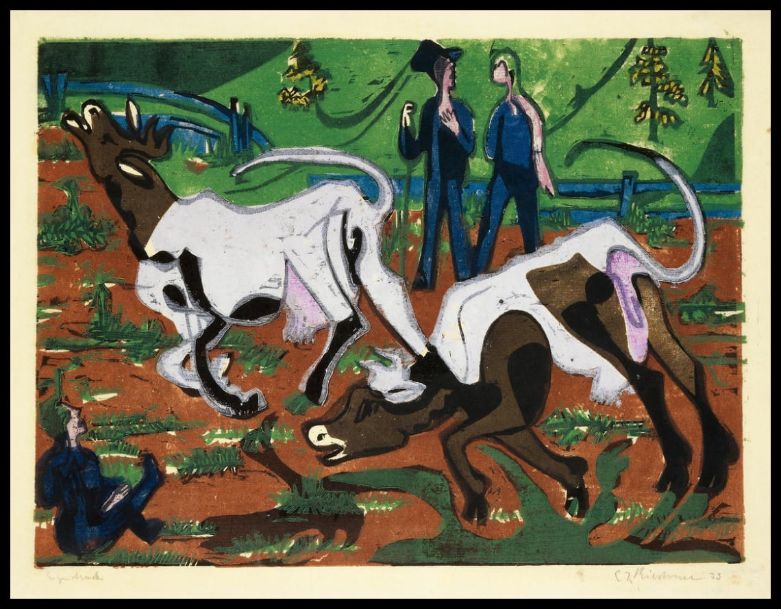 Les vaches au printemps