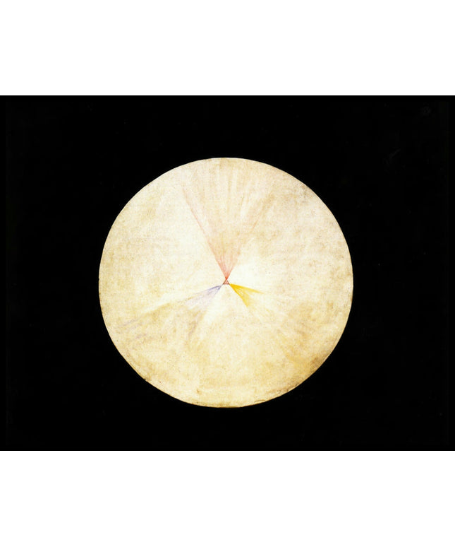 Series SUW, No 14 Swan