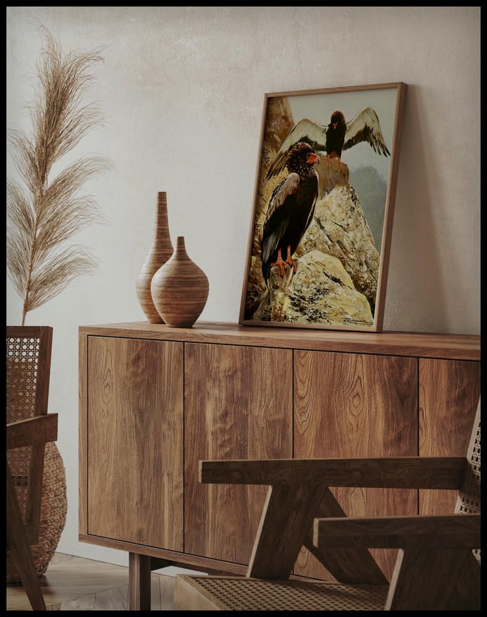 Bateleur Eagle