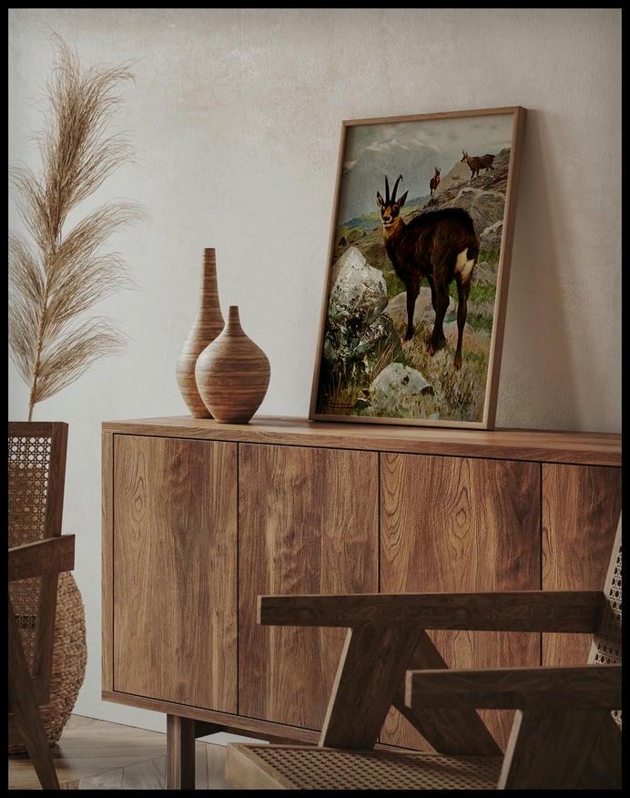Chamois