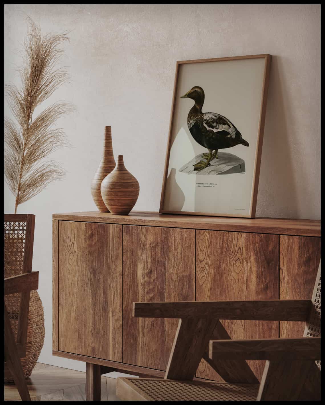 Somateria Mollissima Poster
