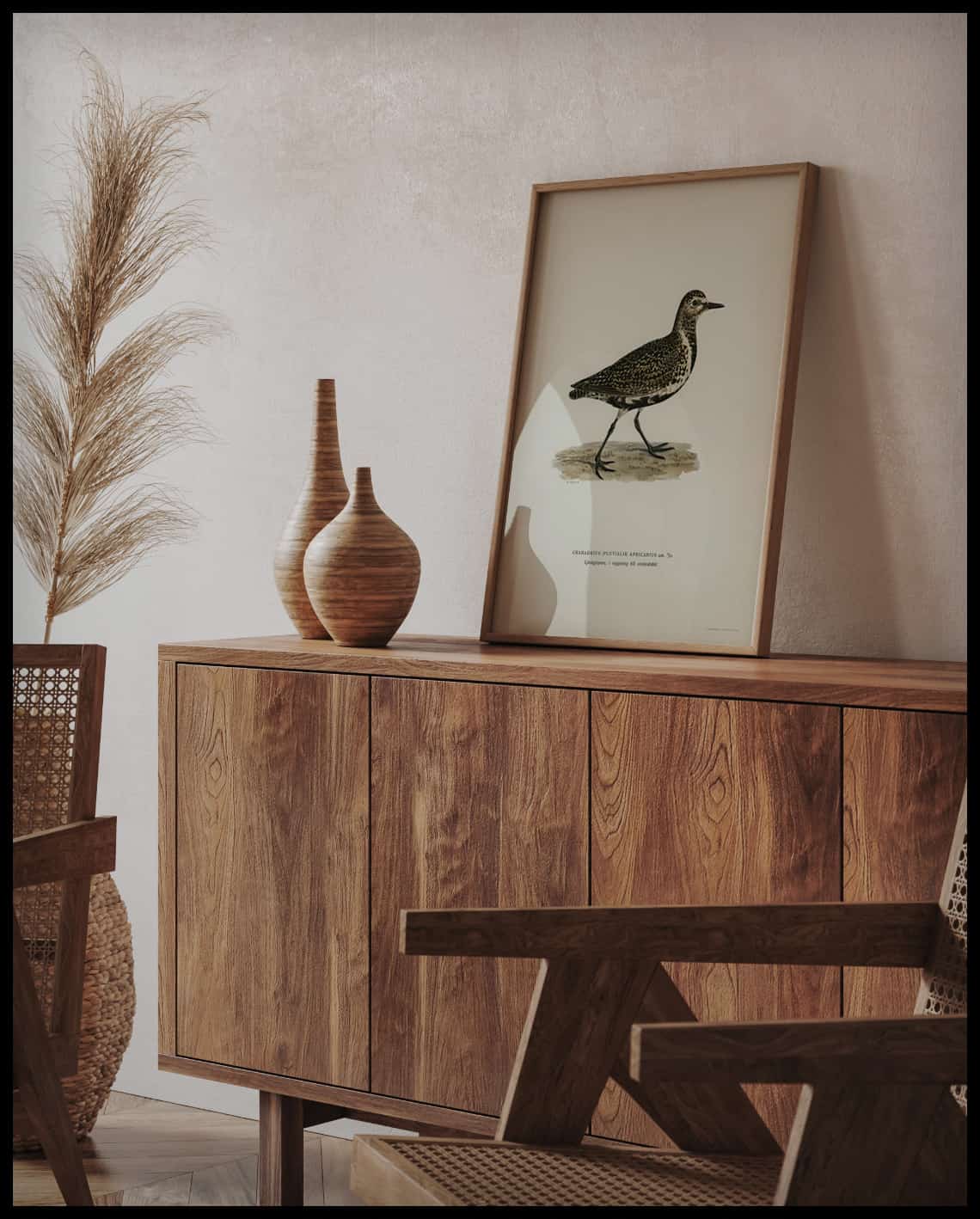 Charadrius Apricarius Poster