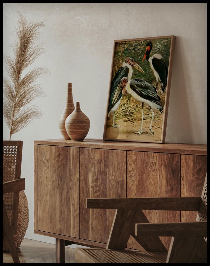 Marabou And Jabiru