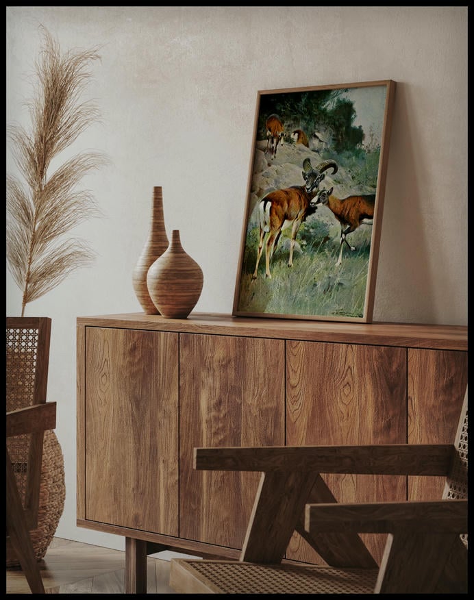 Mouflon
