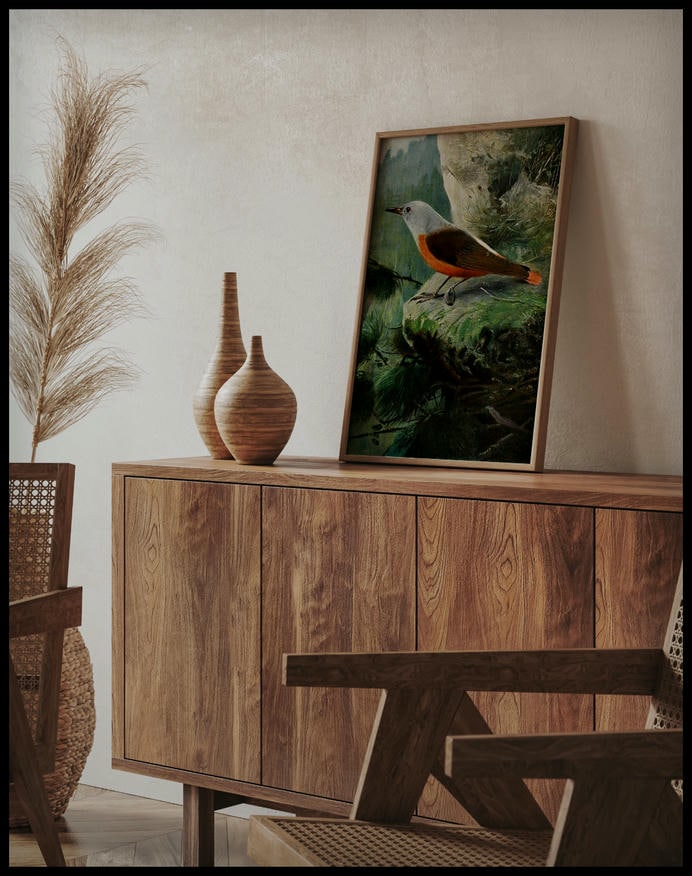 Rock Thrush