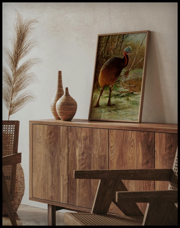 Single Wattled Cassowary