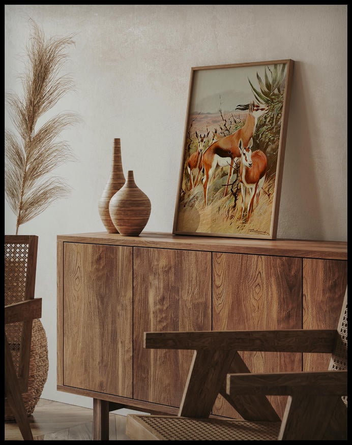Springbok