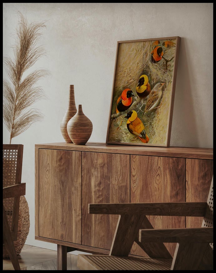 Weaver Birds