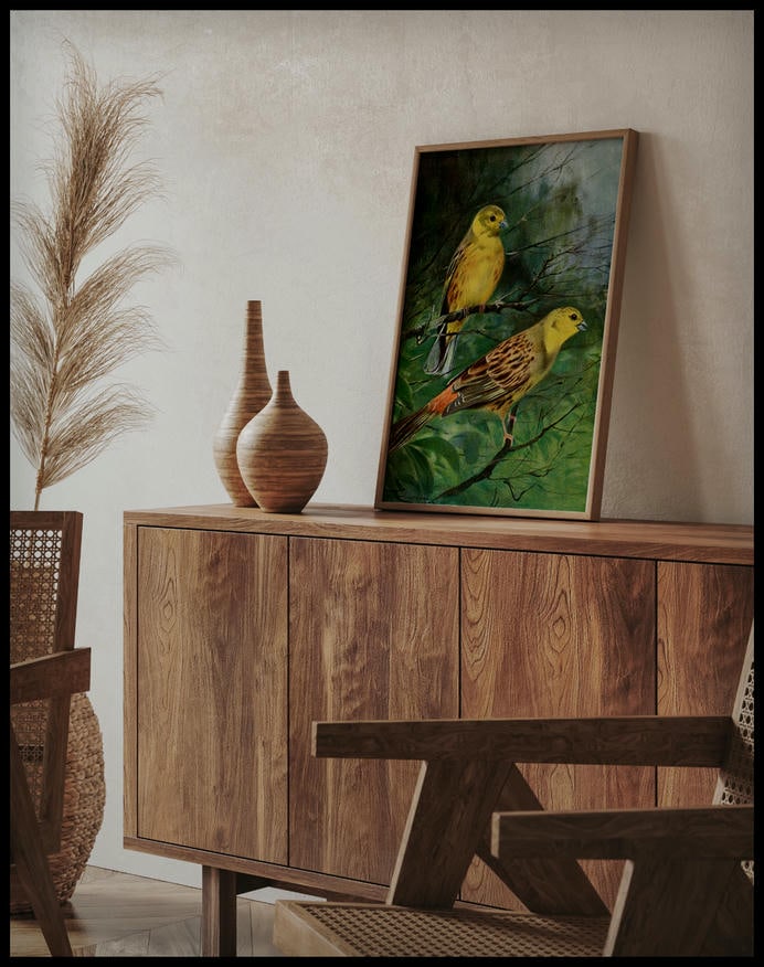 Yellow Bunting