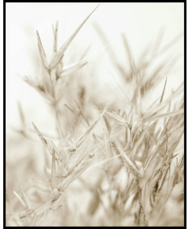 Ein Poster von getrockneten Kräutern in warmen, beigen Farbtönen.