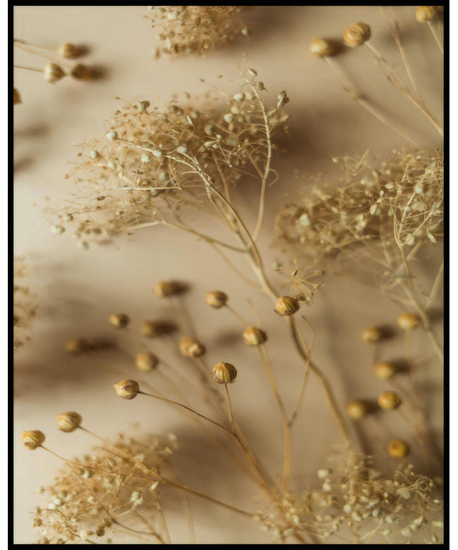 Ein Poster von getrockneten Kräutern und Pflanzen in warmen, natürlichen Farbtönen.