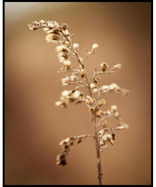 Ein Poster von einem Kräuterzweig vor einem unscharfen, bräunlichen Hintergrund. 