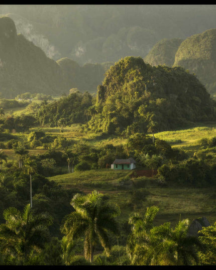 Ein Poster von einer grünen, tropischen Landschaft in Kuba mit Bergen im Hintergrund.