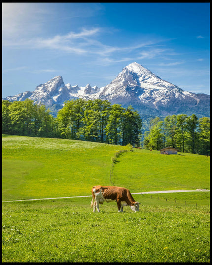 Ein Poster von einer Kuh auf einer grünen Wiese vor einem Hintergrund aus Bergen und Bäumen.