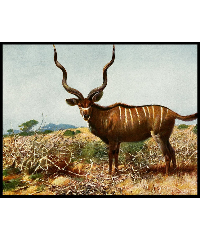Kudu